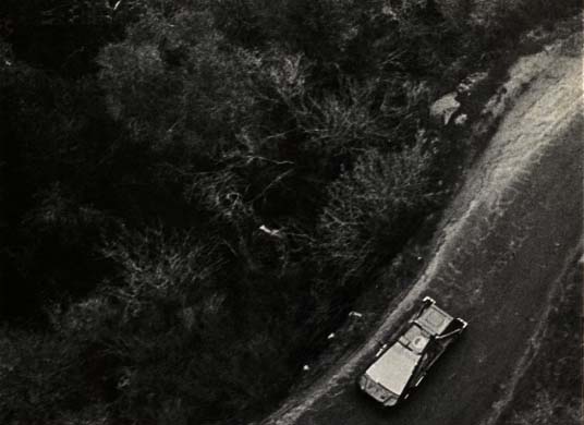 Deckard and Rachael flee