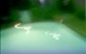 pool-study