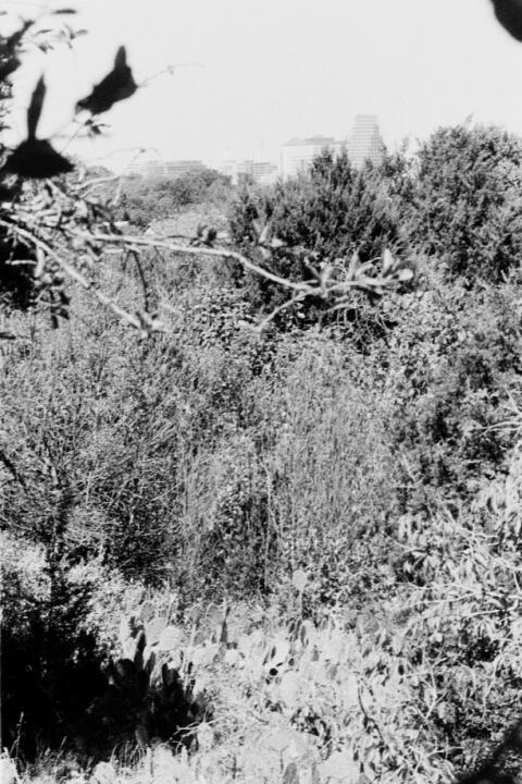 blunn-city-thru-thebush