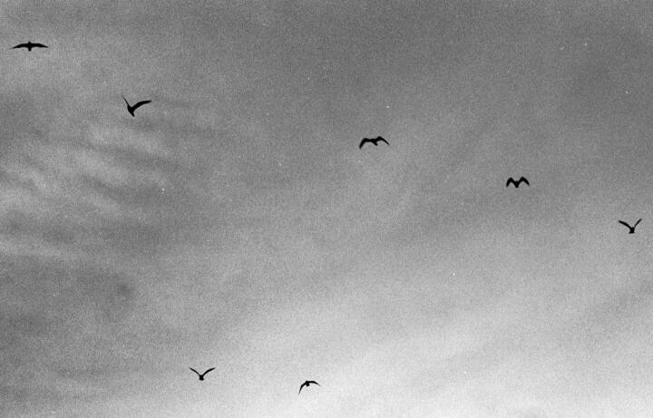 como-taking-terns2